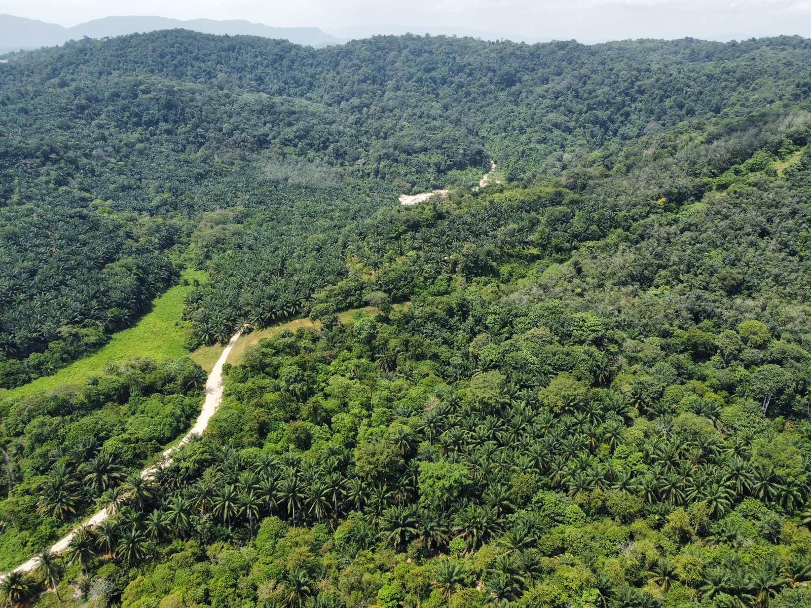 Agricultural Land opportunity in Negeri Sembilan